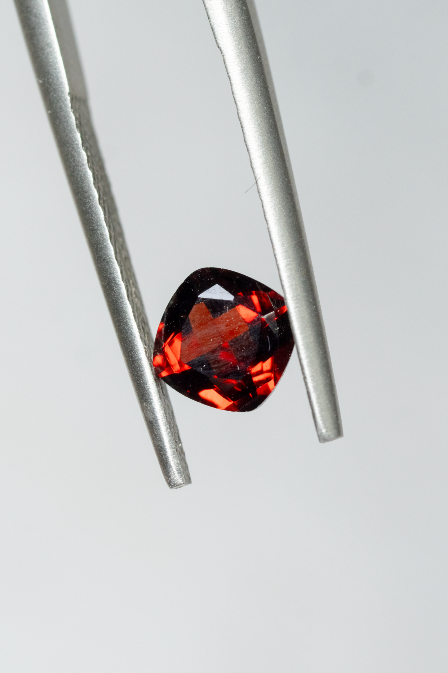 1.15ct Cushion Garnet (Black and Red)